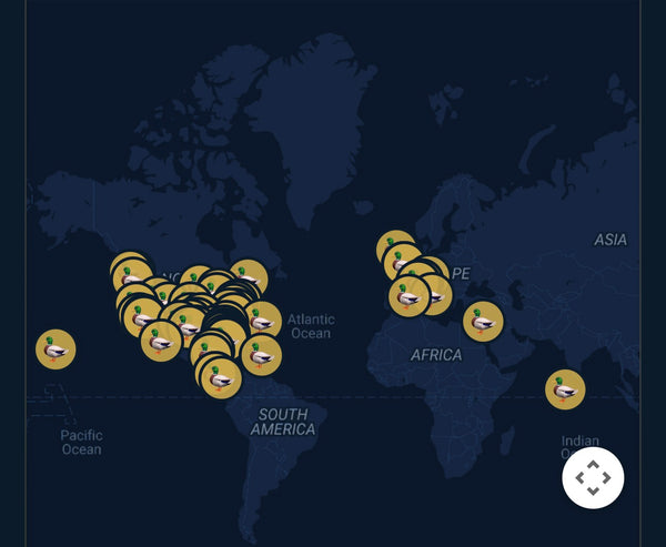 Every journey is tracked worldwide.